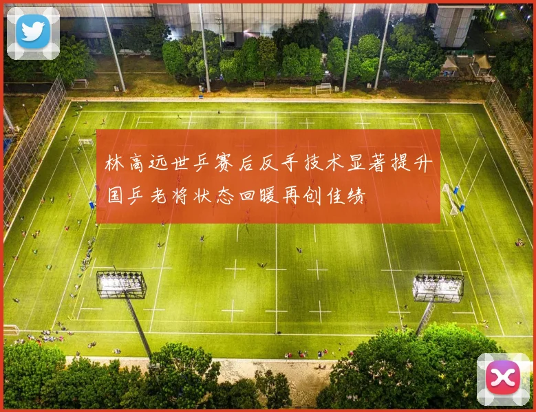 林高远世乒赛后反手技术显著提升国乒老将状态回暖再创佳绩