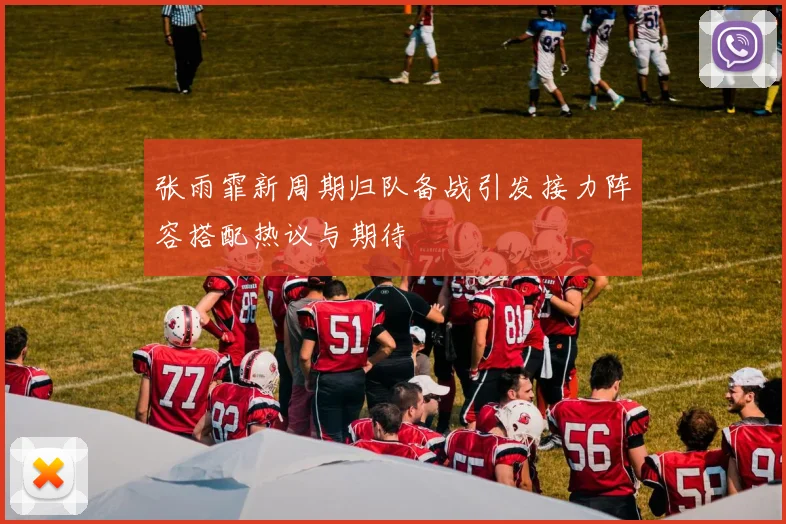 张雨霏新周期归队备战引发接力阵容搭配热议与期待
